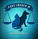 Last Chance 2