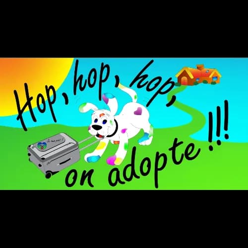 Hop, hop, hop on adopte !