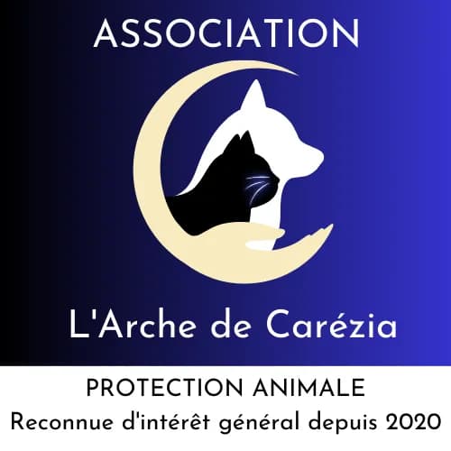 L'Arche de Carézia