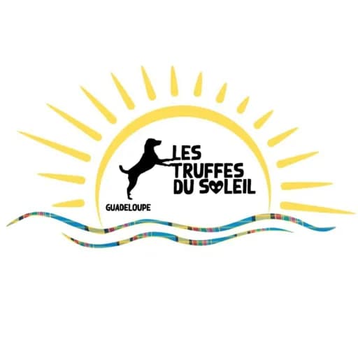 Les Truffes du Soleil