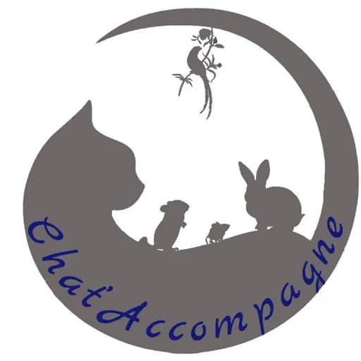 Chat'Accompagne
