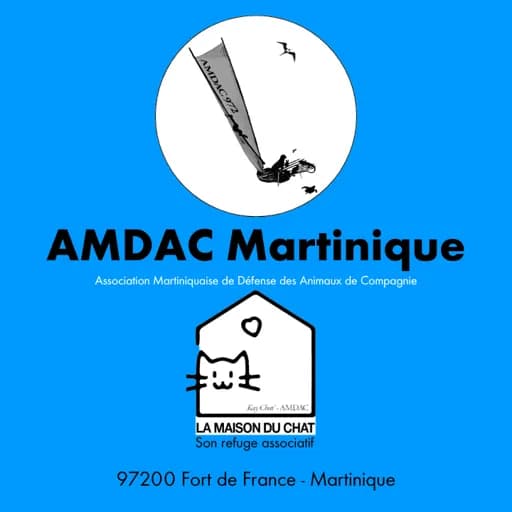 La Maison du Chat - AMDAC Martinique