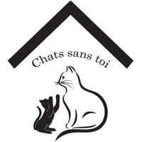 Chats Sans Toi