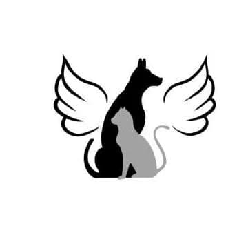 SOS Croquettes 37