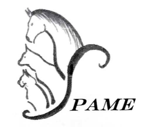Spame