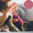 Patounes de l'espoir 45