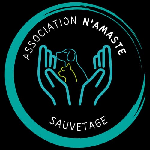 N'Amasté