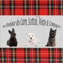 Au bonheur des Cairn, Scottish, Westie et cie