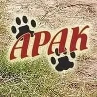 Apak 44