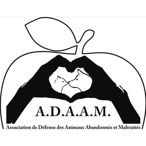 A.D.A.A.M.