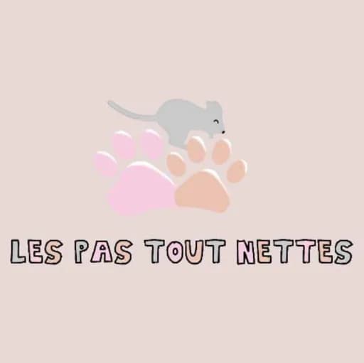Les Pas Tout Nettes