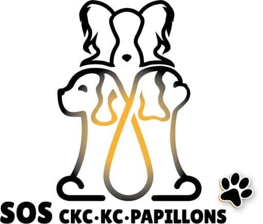 SOS Ckc-Kc-Papillons